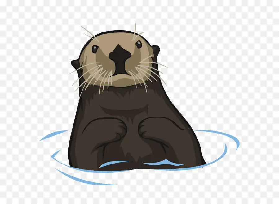 Loutre，Dessin Animé PNG