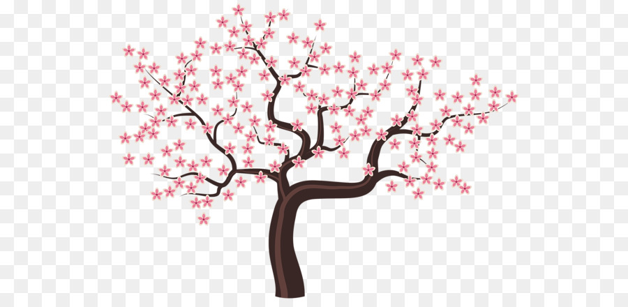 Arbre à Fleurs De Cerisier，Fleurs PNG