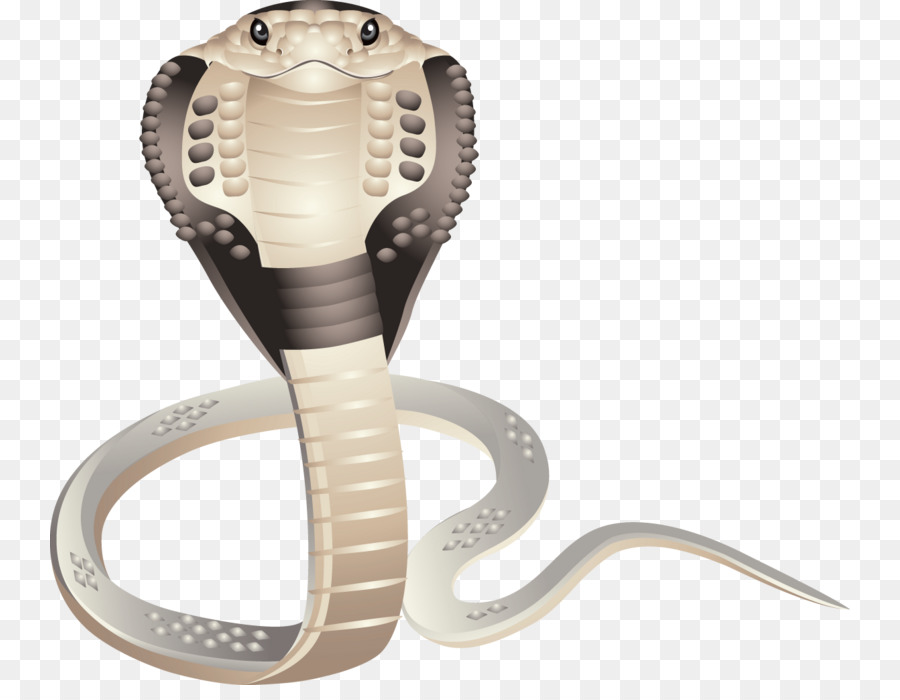 Cobra，Serpent PNG