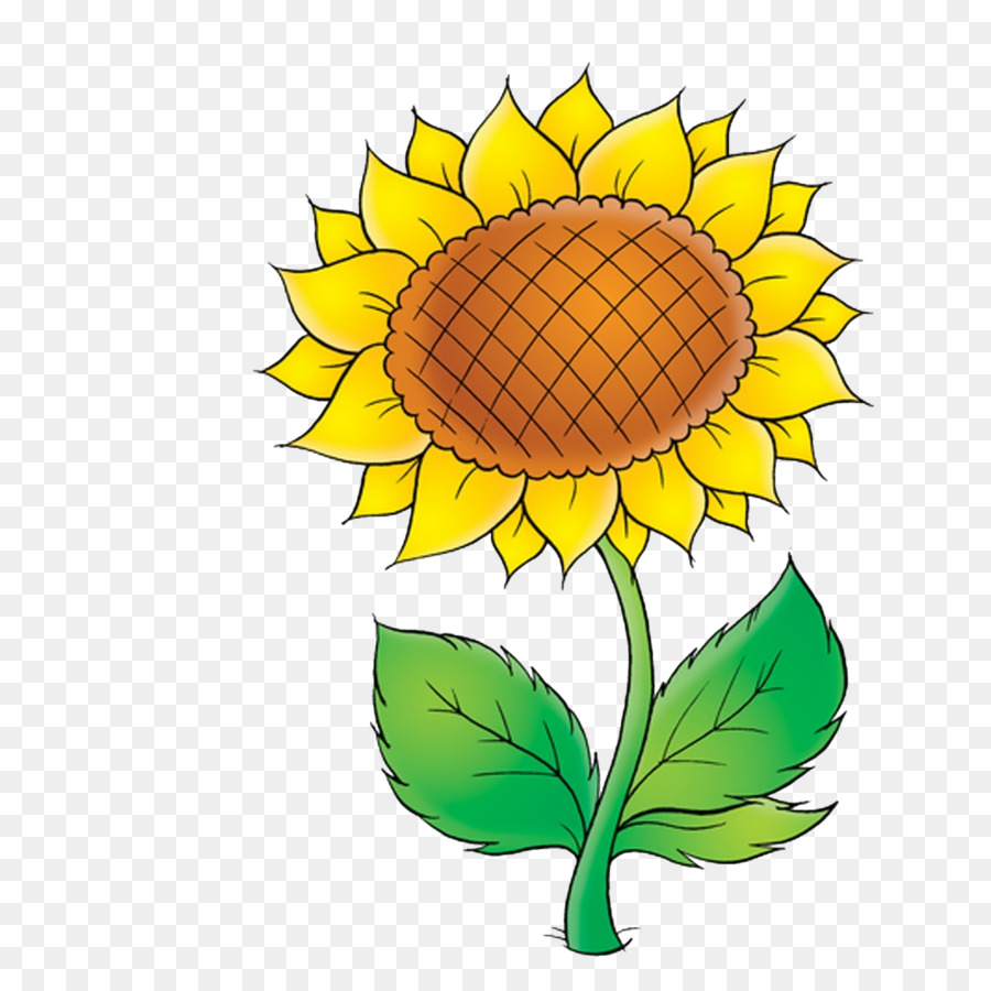 Tournesol，Usine PNG