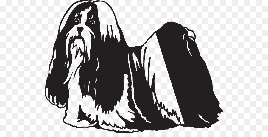 Shih Tzu，Animal De Compagnie PNG