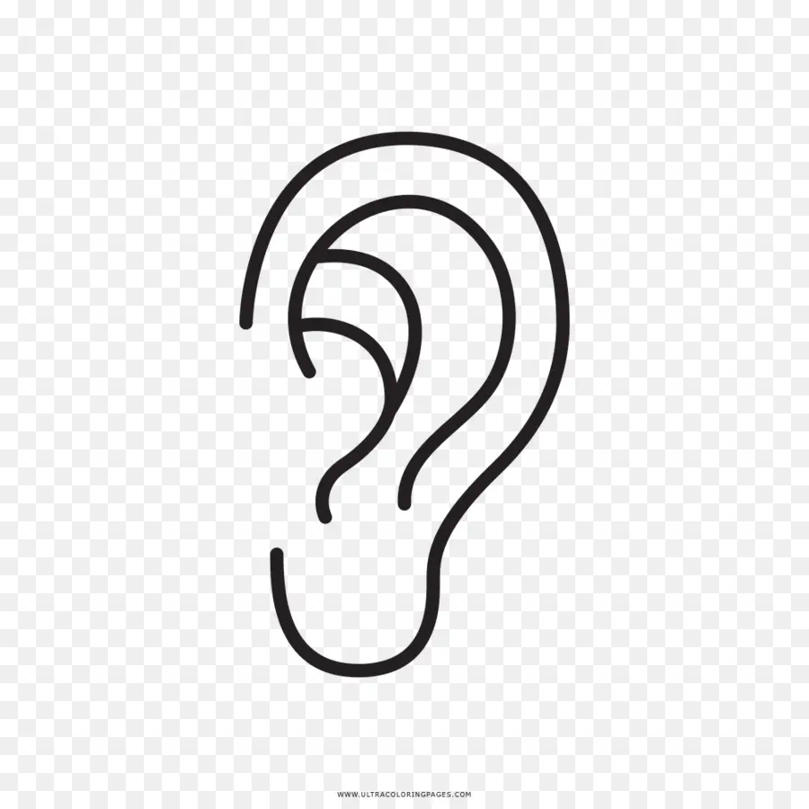 Oreille，Audience PNG