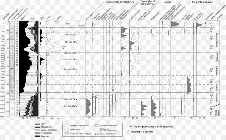 Diagramme，Paléoécologie PNG