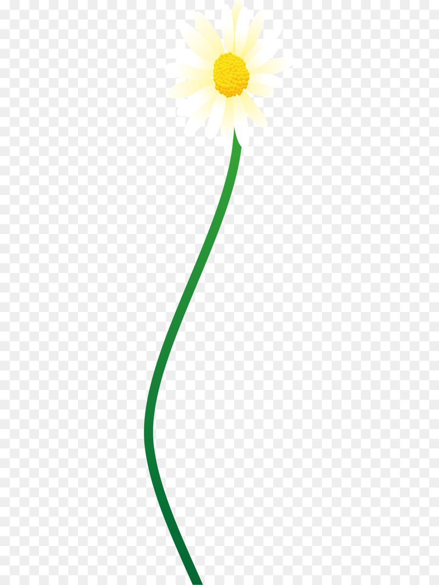 Fleur Jaune，Tige PNG