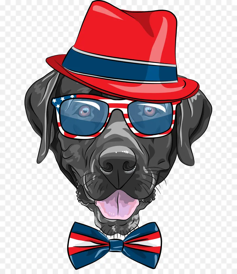 Chien Avec Chapeau Et Lunettes，Animal De Compagnie PNG