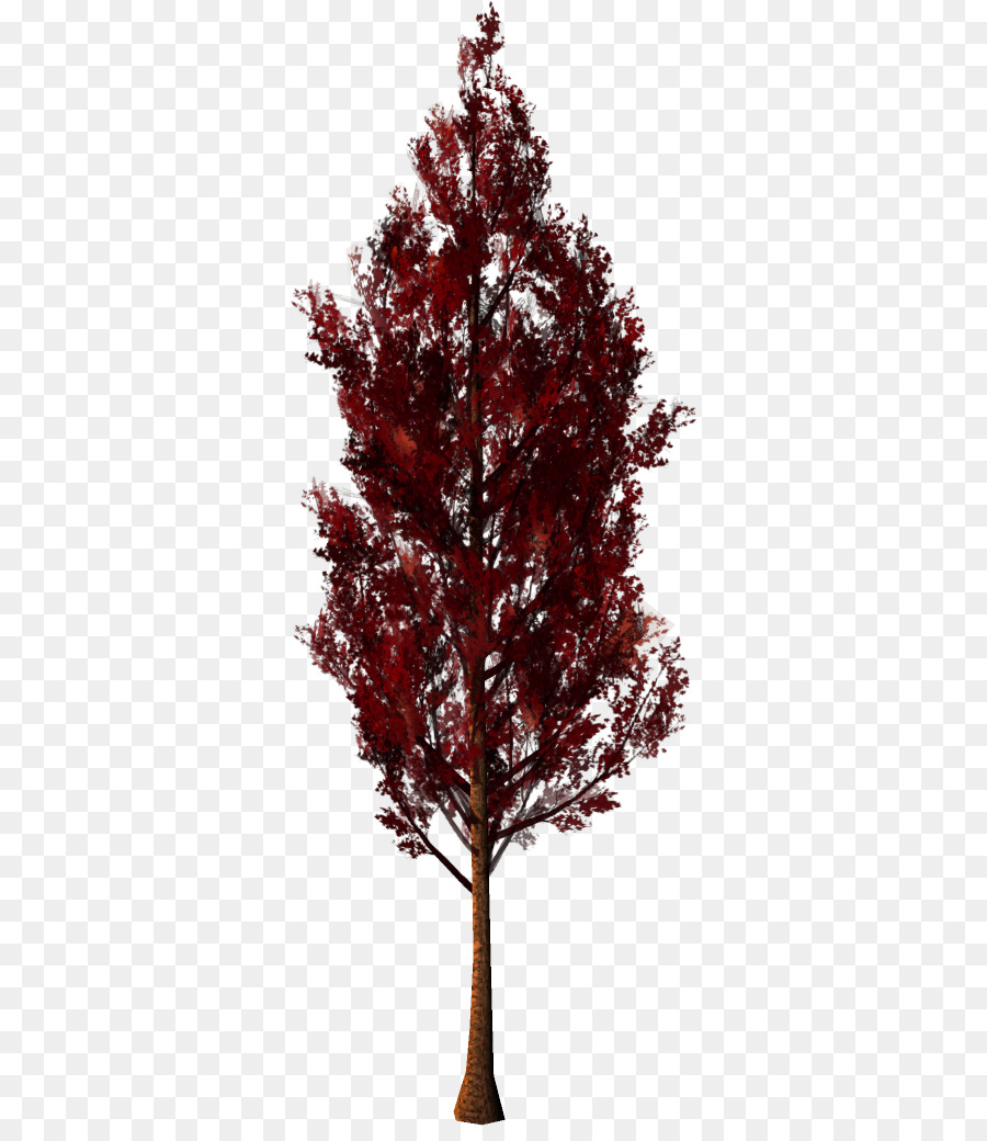 Arbre，Feuilles Rouges PNG