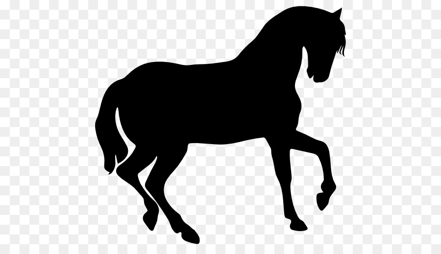 Cheval Noir，Silhouette PNG