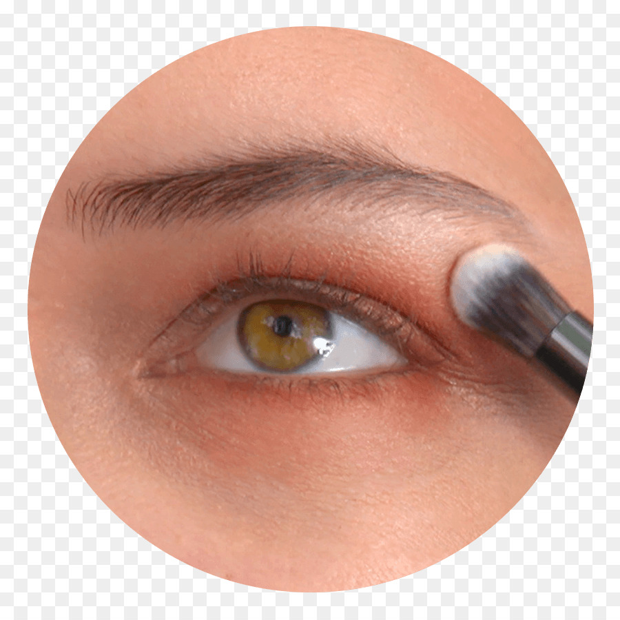 Extensions De Cils，L Ombre à Paupières PNG