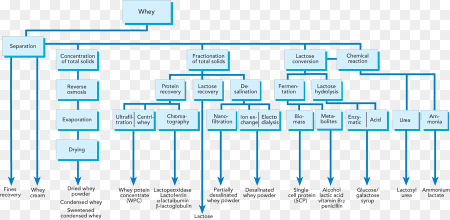 Organigramme，Processus PNG