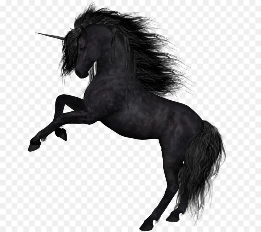 Cheval，Licorne PNG