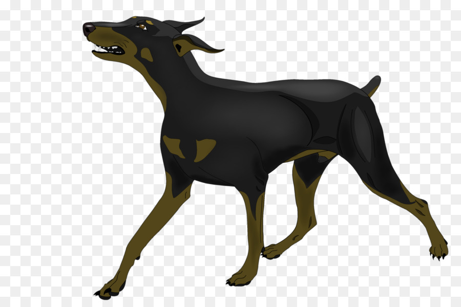 Dobermann，Pinscher Miniature PNG