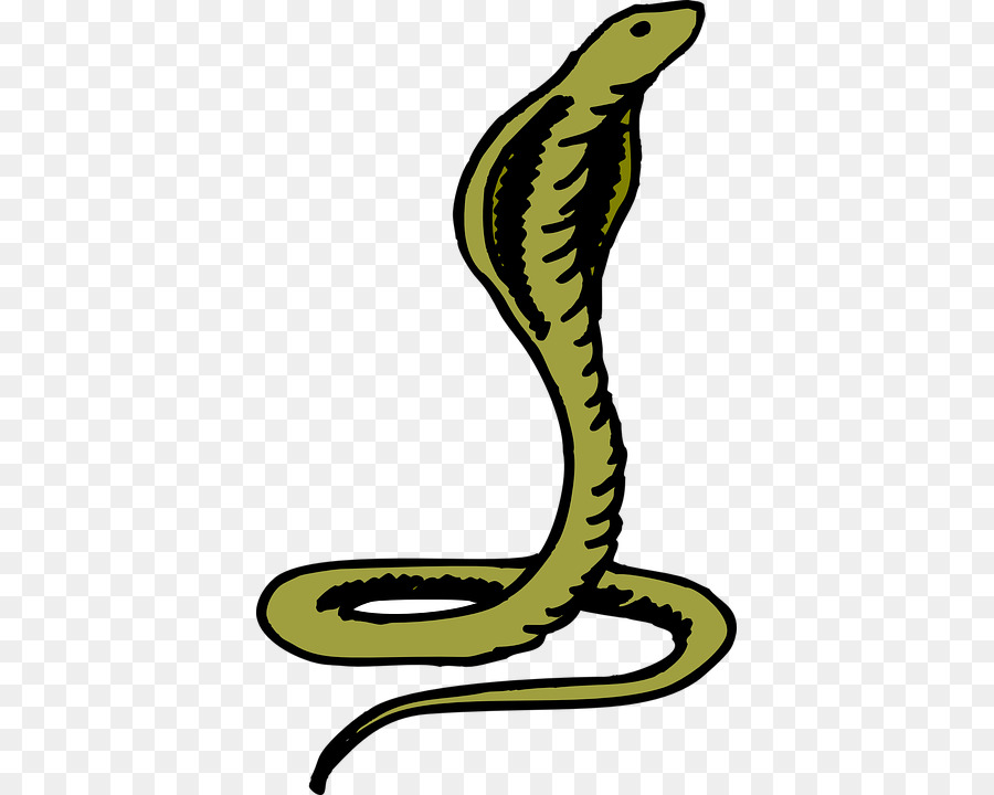Serpent，Cobra PNG