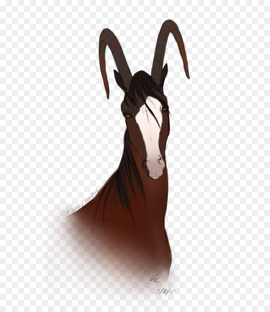 Cheval，5 Août PNG