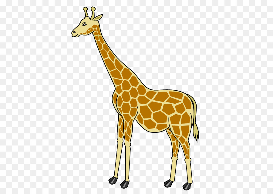 Girafe，Grand PNG