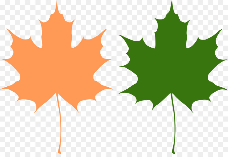 Feuilles D'automne，Automne PNG