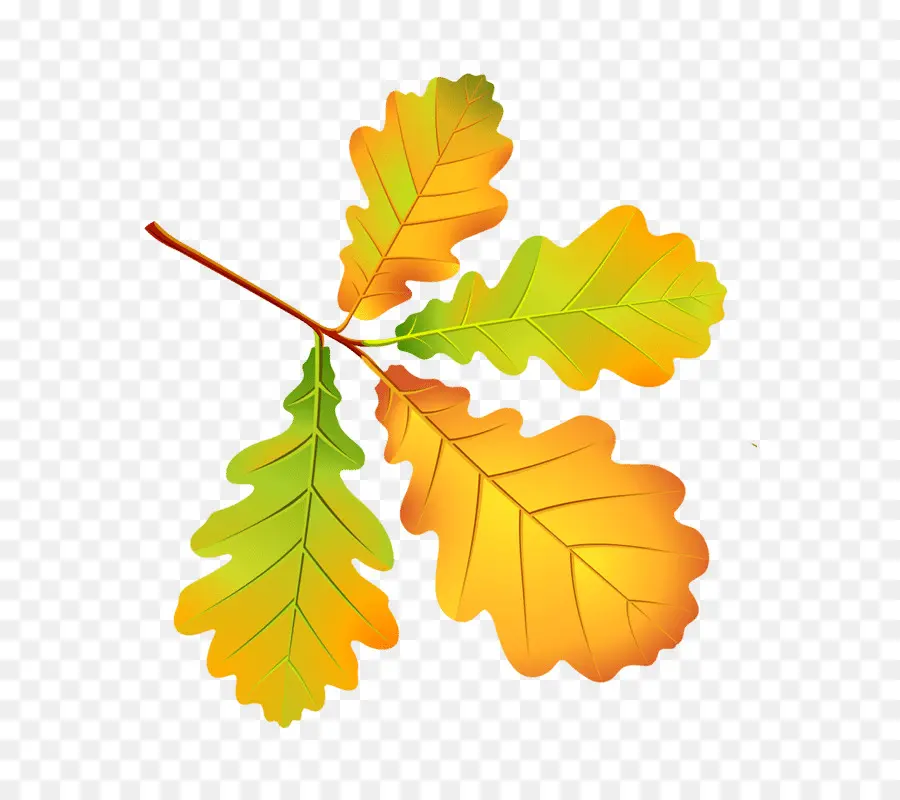 Feuilles Colorées，Automne PNG