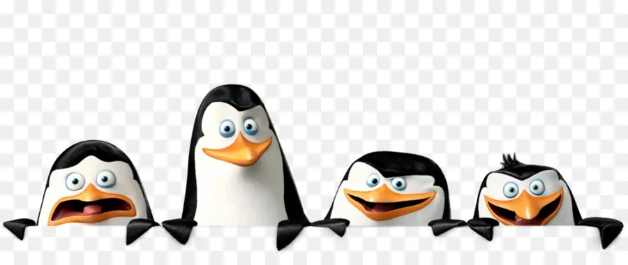 Pingouins，Dessin Animé PNG