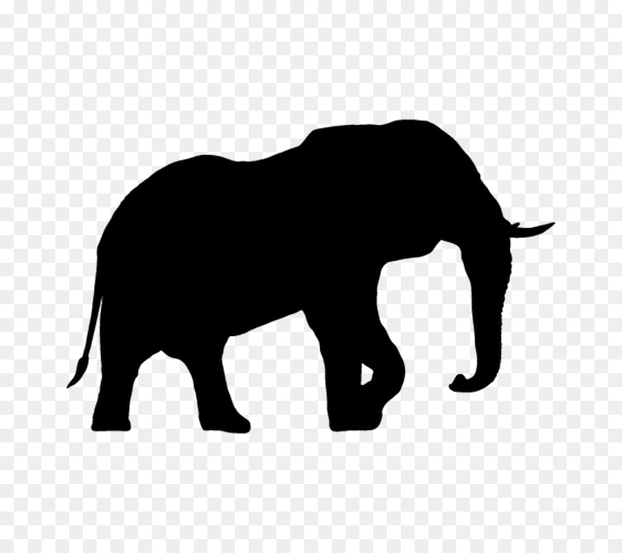 Lelephant Silhouette Dessin Png Lelephant Silhouette Dessin Transparentes Png Gratuit