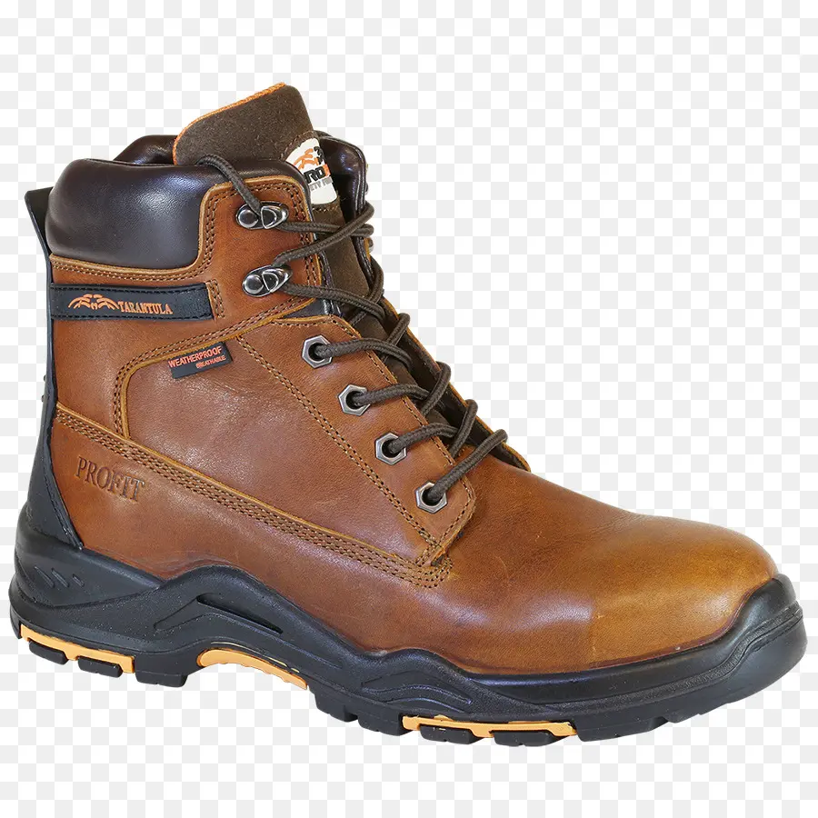 Steeltoe De Démarrage，Démarrage PNG