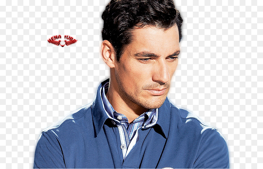 David Gandy，Le Papier Peint Du Bureau PNG