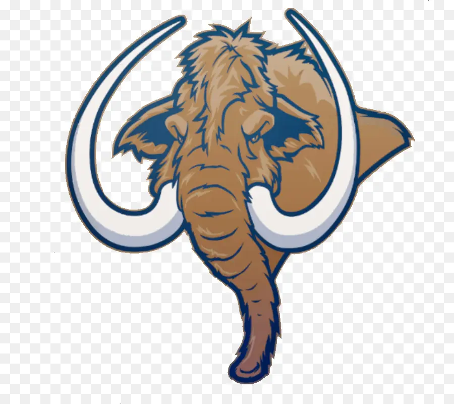 L éléphant D Afrique，Logo PNG