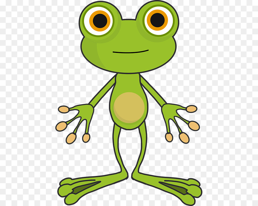 Grenouille，Tshirt PNG