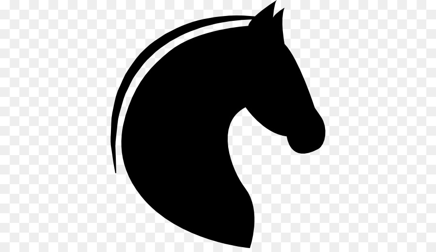 Cheval，Colt PNG