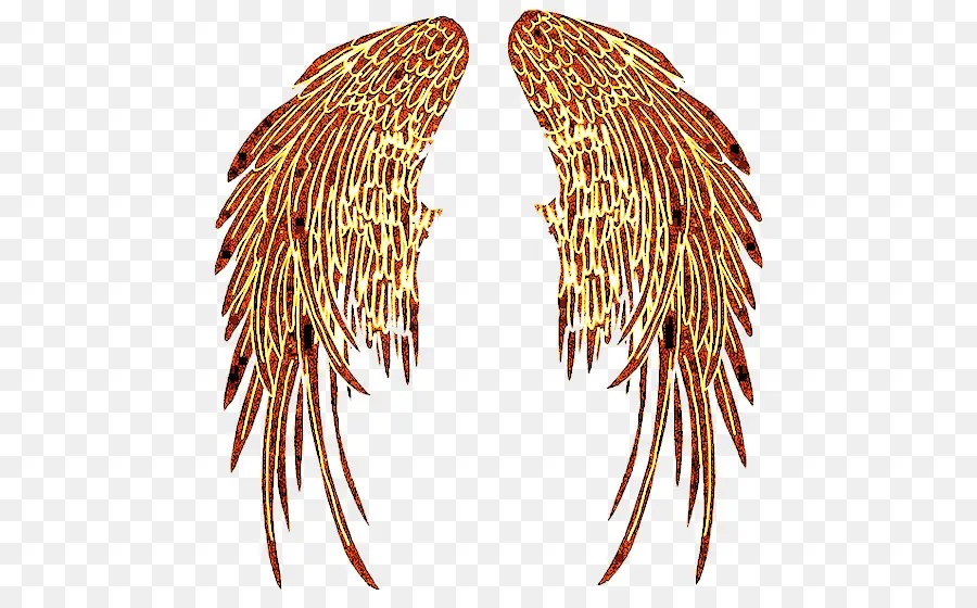 Ailes D'or，Plumes PNG