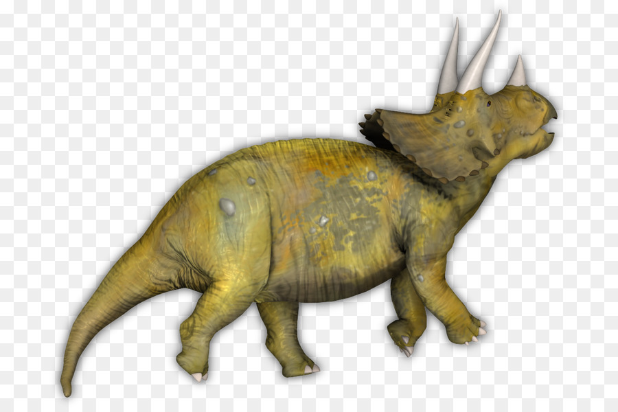 Tricératops，Le Tyrannosaure PNG