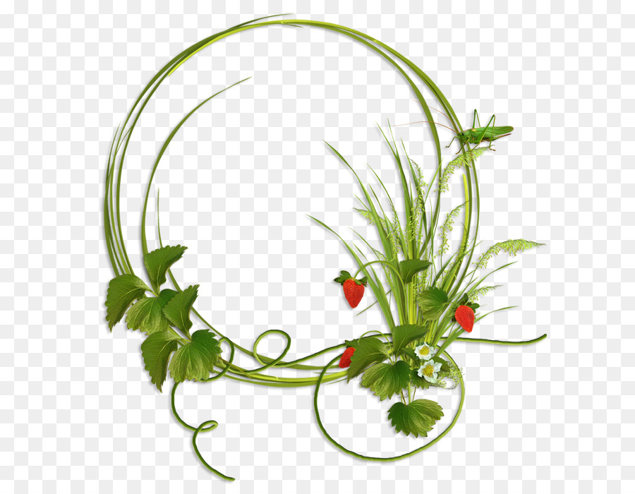 Cadre Floral Vert，Cadre PNG