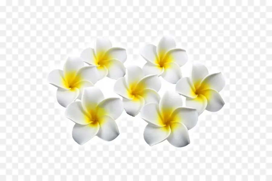 Fleur，Fleurs Artificielles PNG