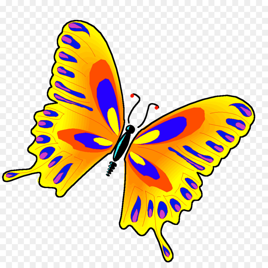 Papillon Jaune Bleu Rouge，Insecte PNG