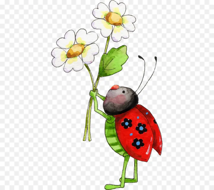 Fleur，Coccinelle PNG