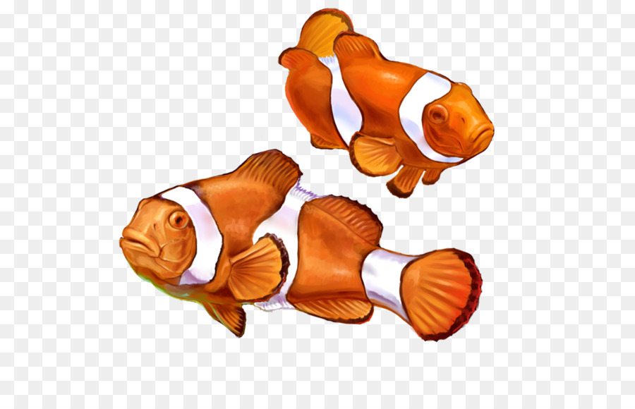 Des Poissons Clowns Nul Dessin Png Des Poissons Clowns Nul Dessin Transparentes Png Gratuit