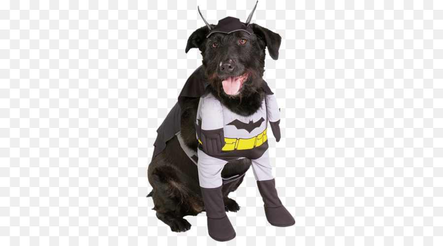 Chien En Costume，Homme Chauve Souris PNG