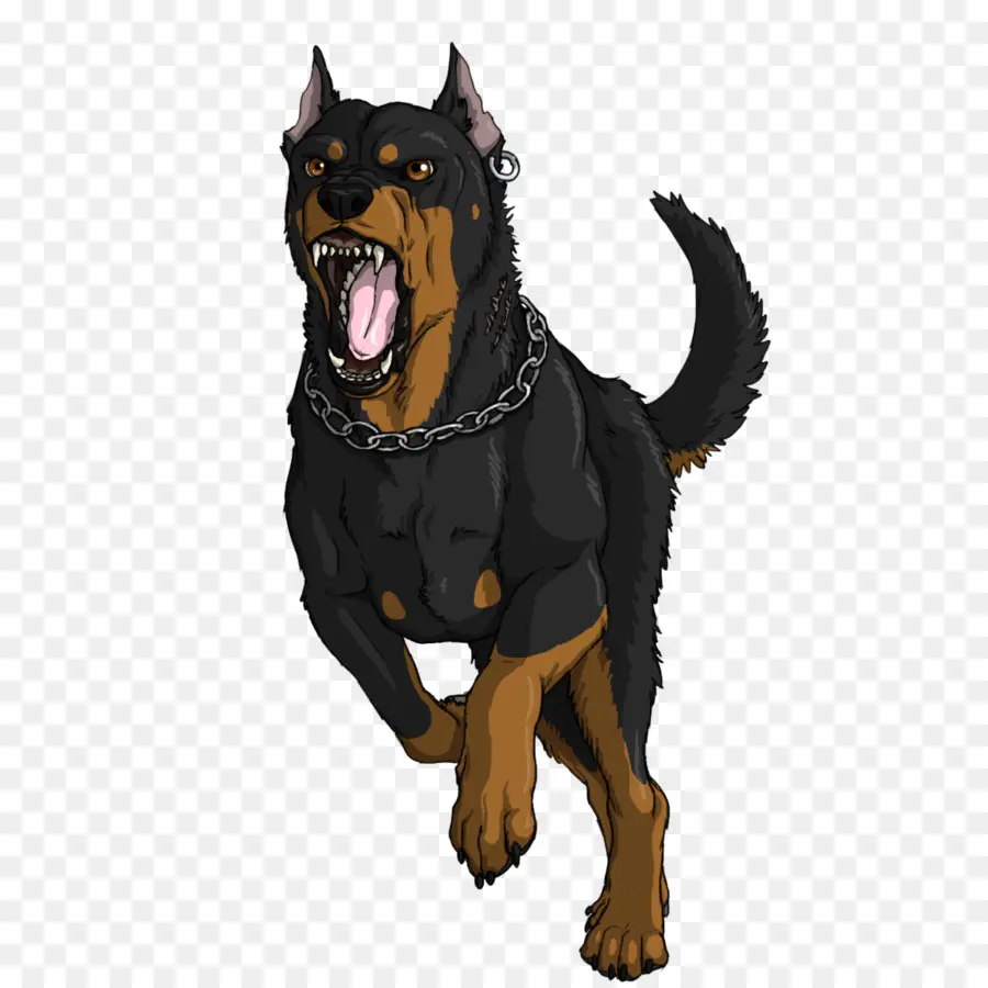 Rottweiler，En Colère PNG