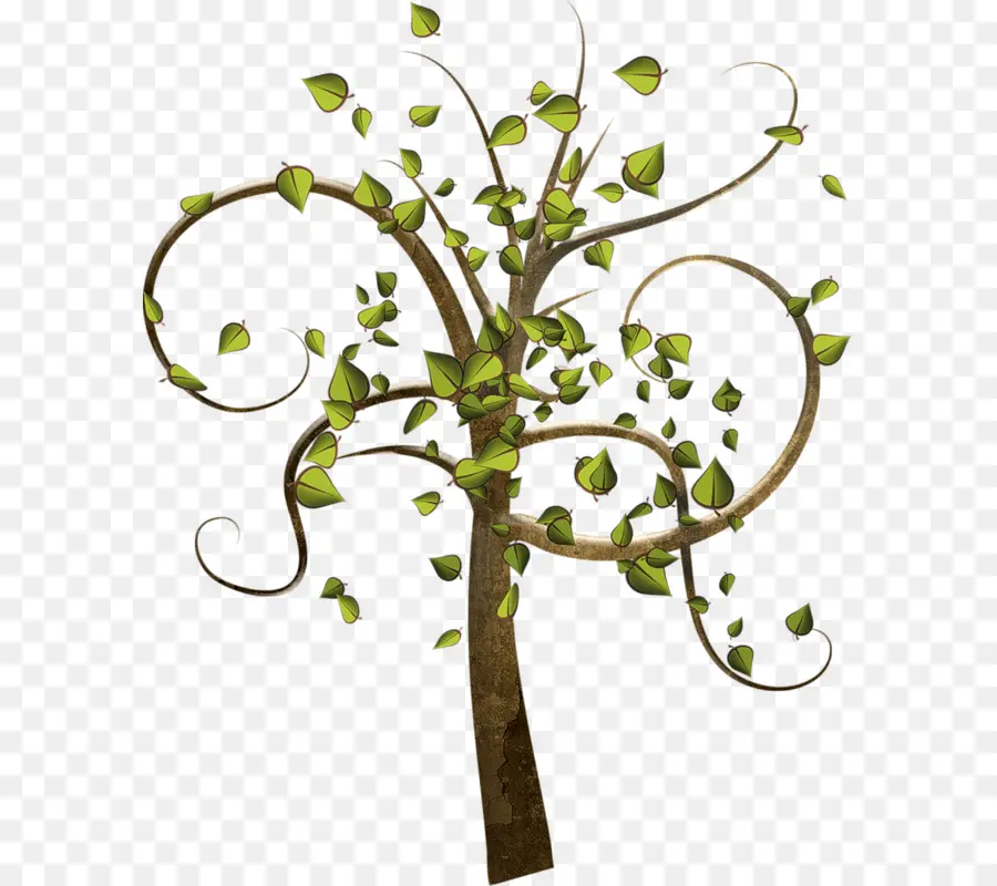 Arbre，Feuilles PNG