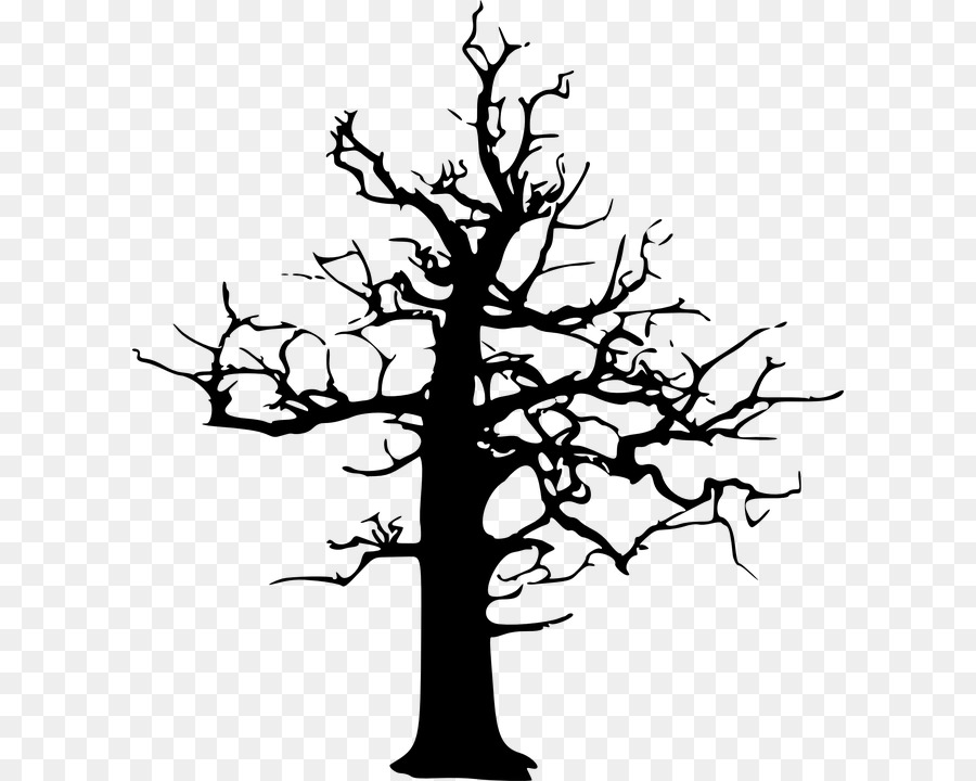 Silhouette D'arbre，Usine PNG