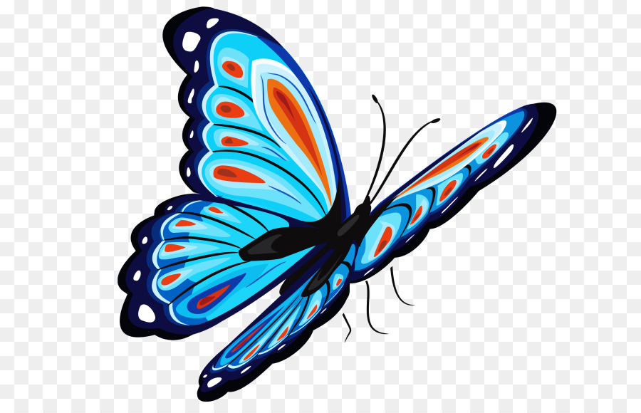 Papillon Bleu，Insecte PNG