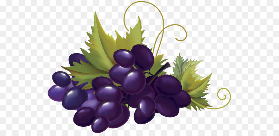 Raisin，Fruit PNG