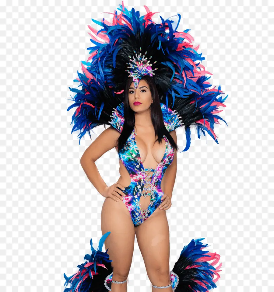 Femme En Costume De Carnaval，Plumes PNG