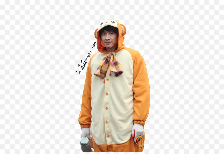 Personne En Costume，Animal PNG