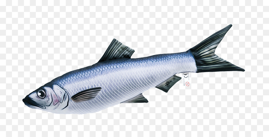 Les Poissons，Oreiller PNG