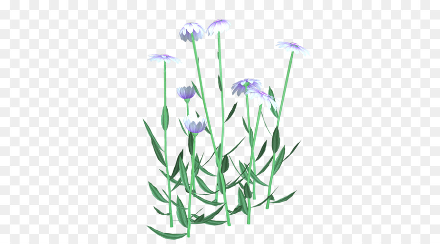 Fleurs Sauvages，Herbe PNG