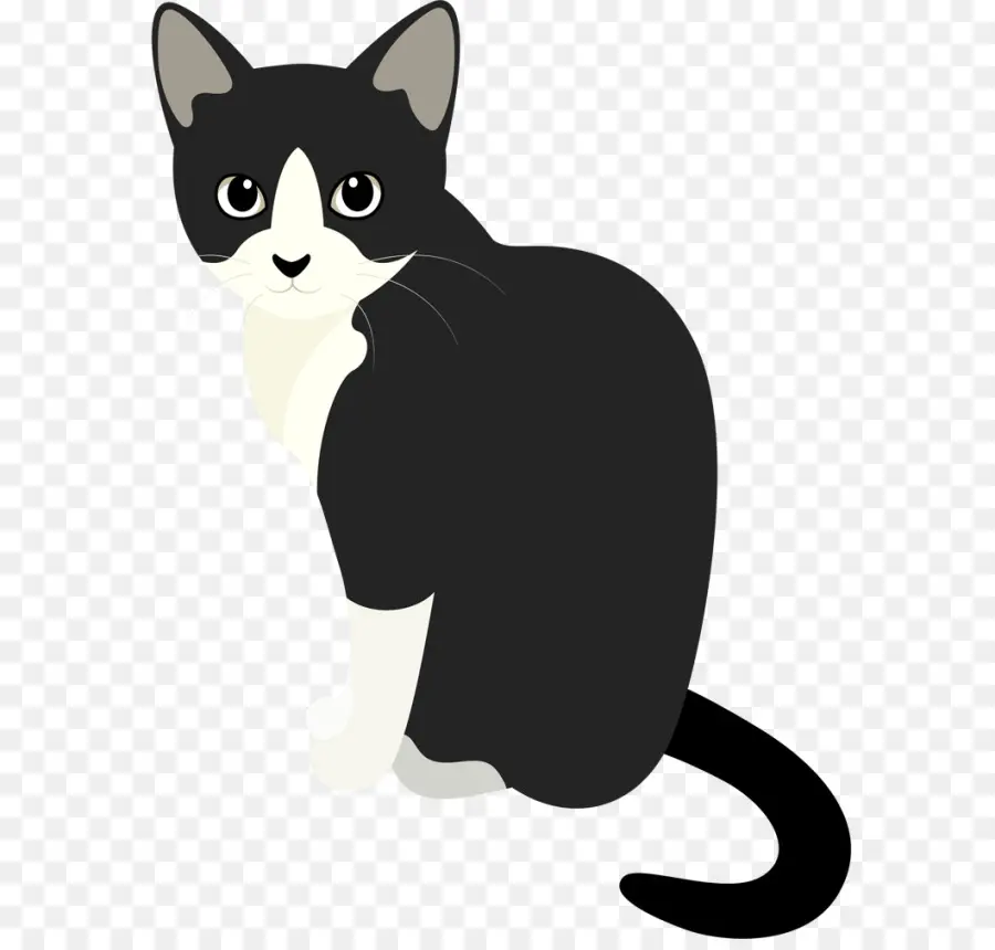 Chat Noir Et Blanc，Animal De Compagnie PNG