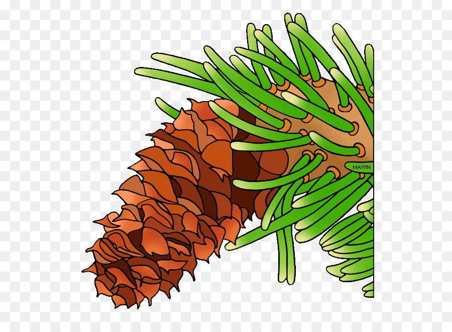 Pomme De Pin，Pin PNG