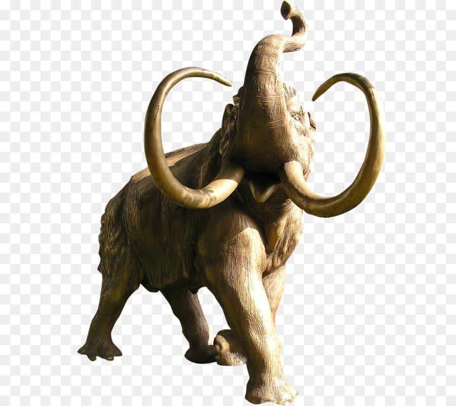 L éléphant D Afrique，L éléphant PNG