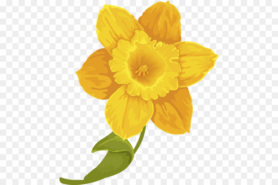 Jonquilles Jaunes，Printemps PNG