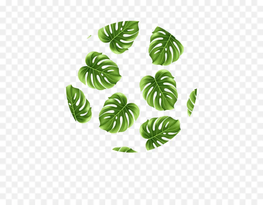 Feuille，Vert PNG