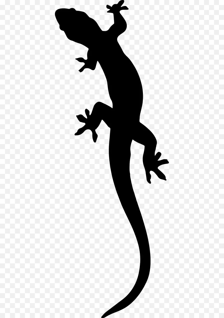 Lézard，Gecko PNG
